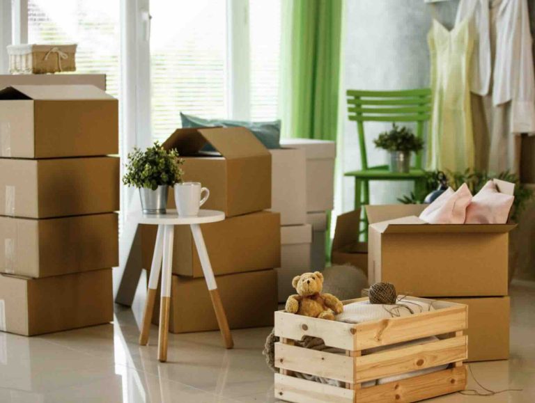 premium moving companies in dubai
