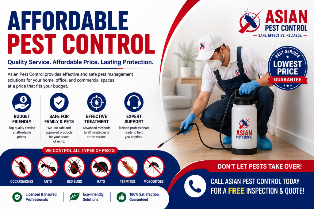 # Affordable Pest Control – Top 10 Listed
