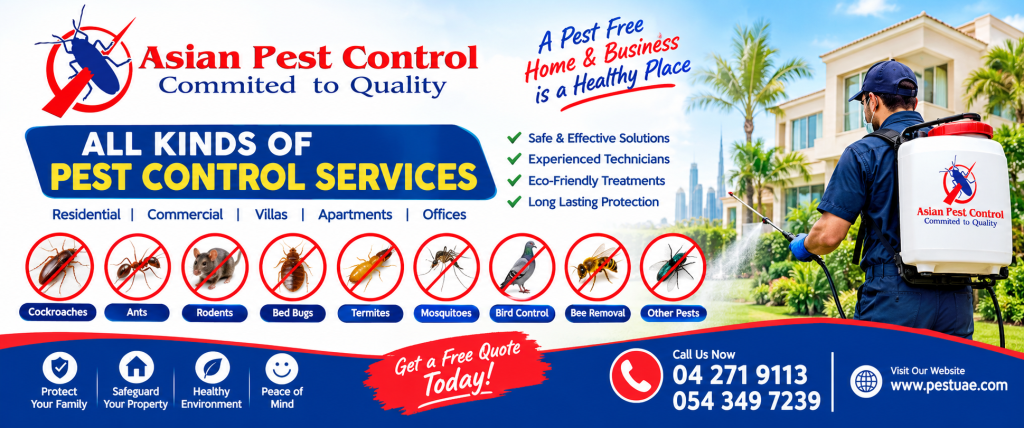 # Pest Control Services – Approved & Professional