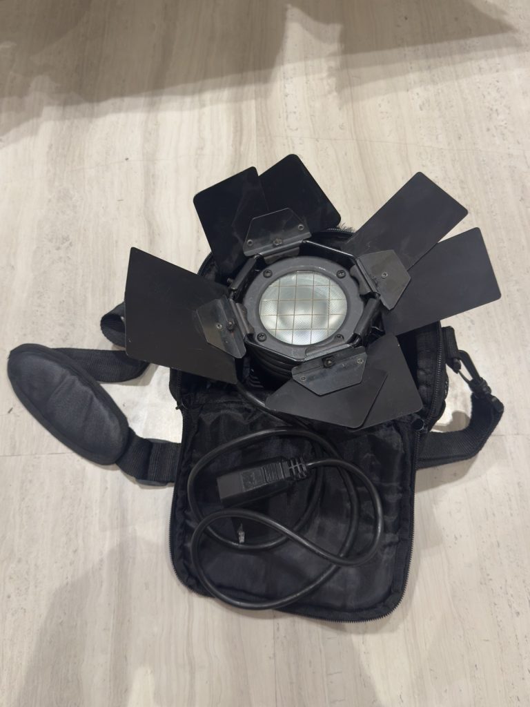 Lowel Pro-light Tungsten Light with Barn Doors + Bag