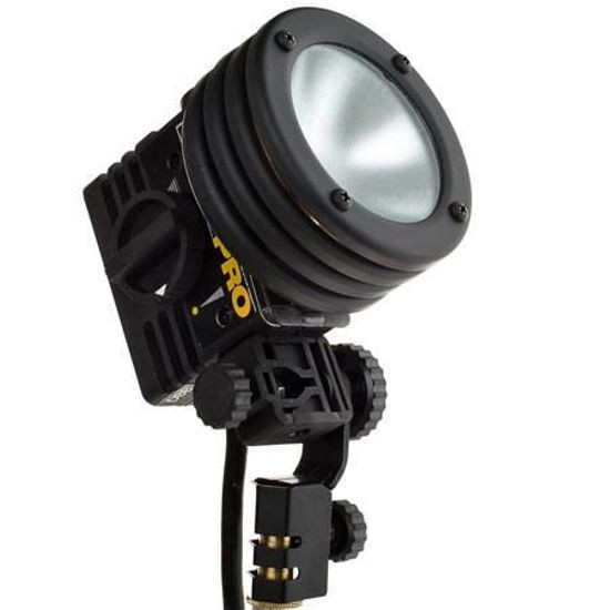 Lowel Pro-light Tungsten Light with Barn Doors + Bag